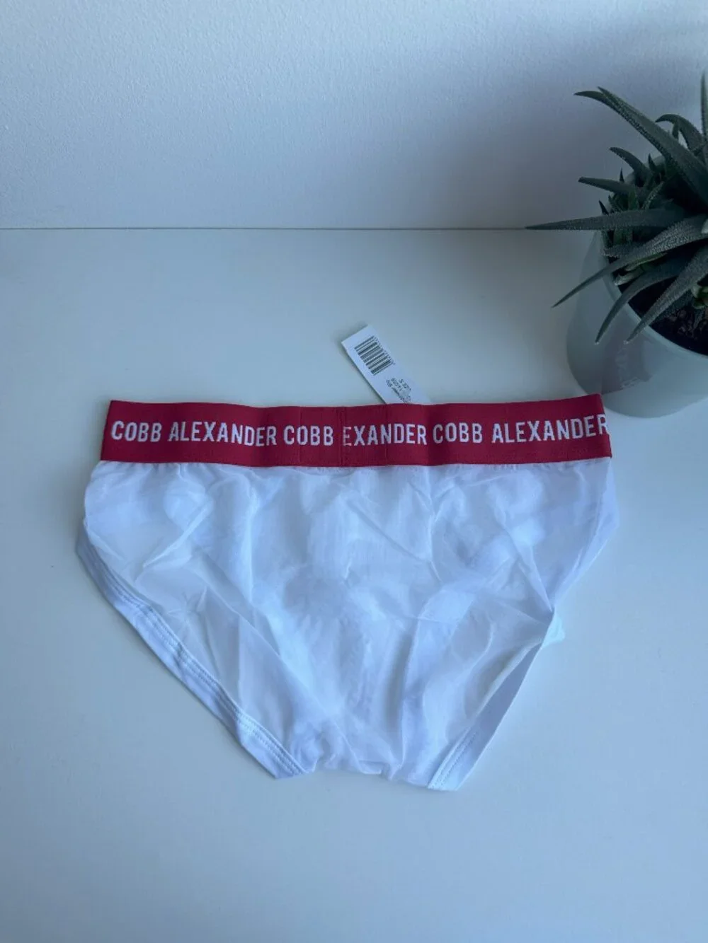 Alexander Cobb - Transparent Slip Brief - White (S)